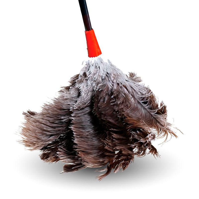 ESPANADOR DE PENA PEROVINHA - Nº30